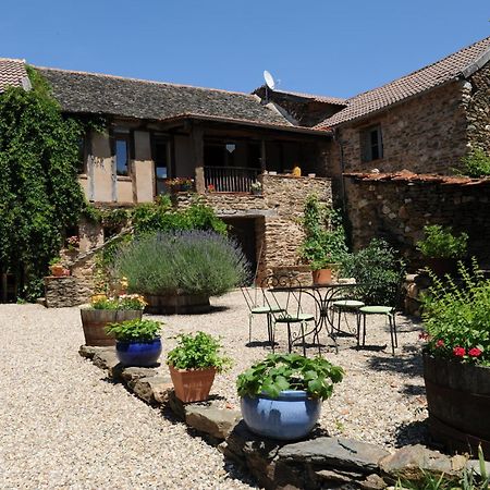 Chambres D'Hotes Le Puits D'Amour Mirandol-Bourgnounac Kültér fotó