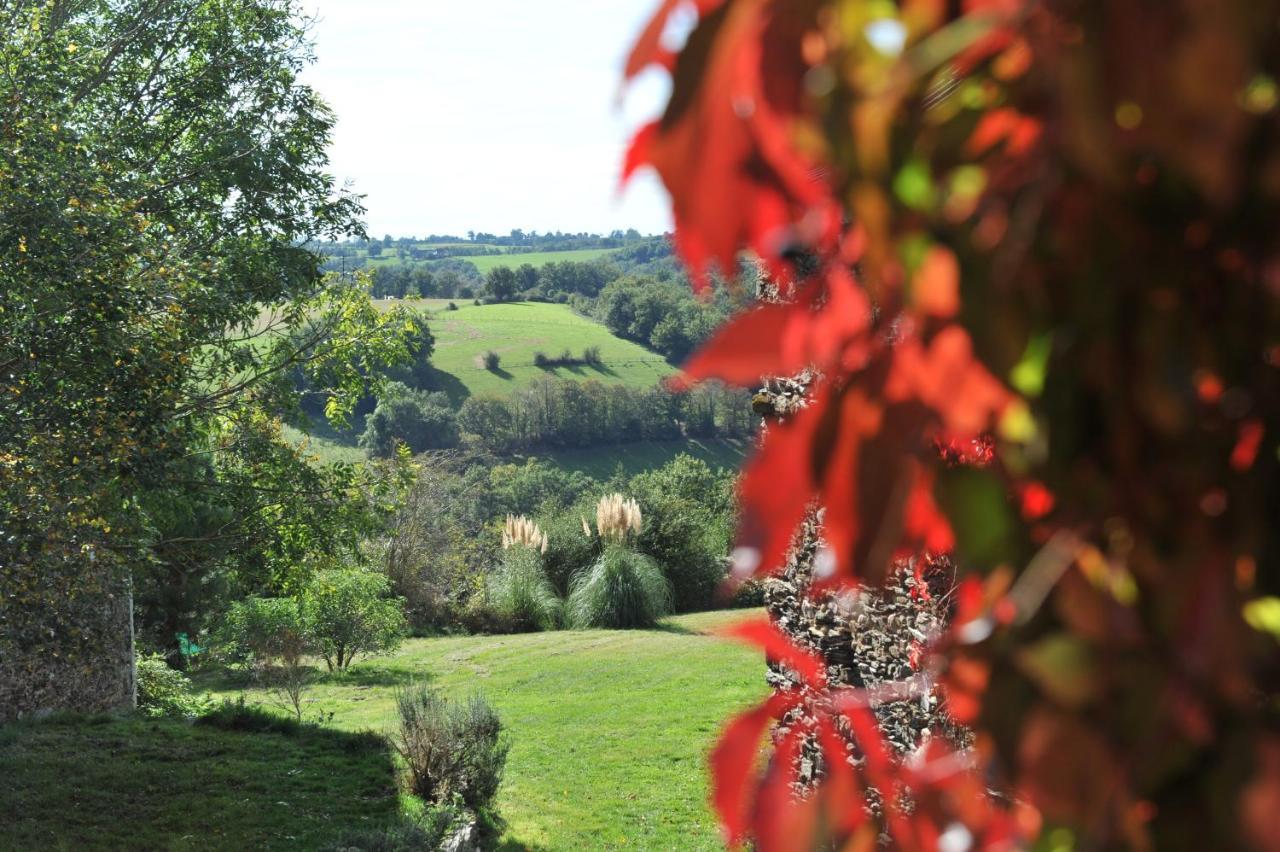 Chambres D'Hotes Le Puits D'Amour Mirandol-Bourgnounac Kültér fotó